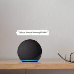 Saurosoft Radio - Alexa di Amazon